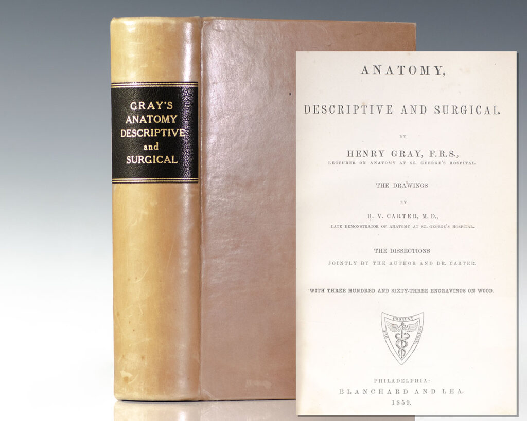 Anatomy, Descriptive and Surgical [Gray’s Anatomy].