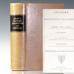 Anatomy, Descriptive and Surgical [Gray's Anatomy].