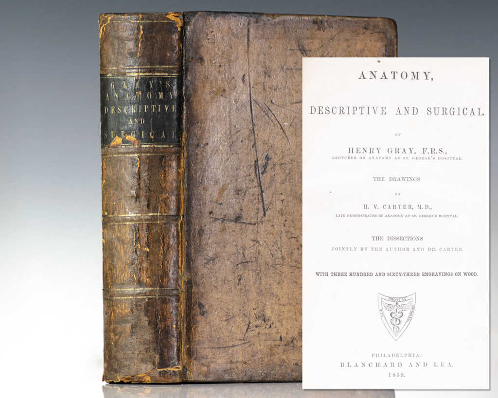 Anatomy, Descriptive and Surgical [Gray’s Anatomy].