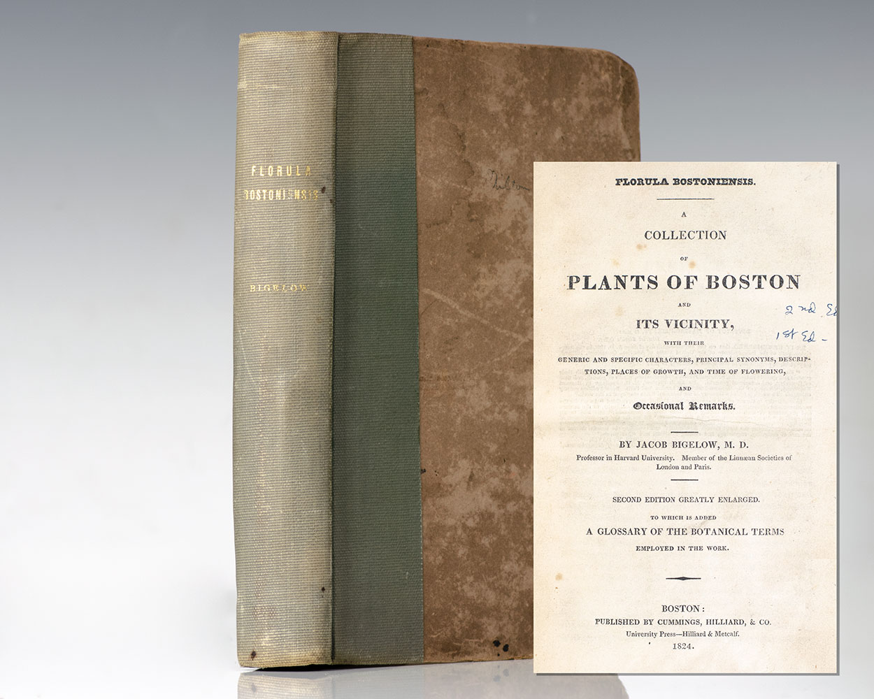 Florula Bostoniensis. A Collection of Plants of Boston and Its Vicinity, With Their Generic and Specific Characters, Principal Synonyms, Descriptions, Places of Growth, and Time of Flowering, and Occasional Remarks.