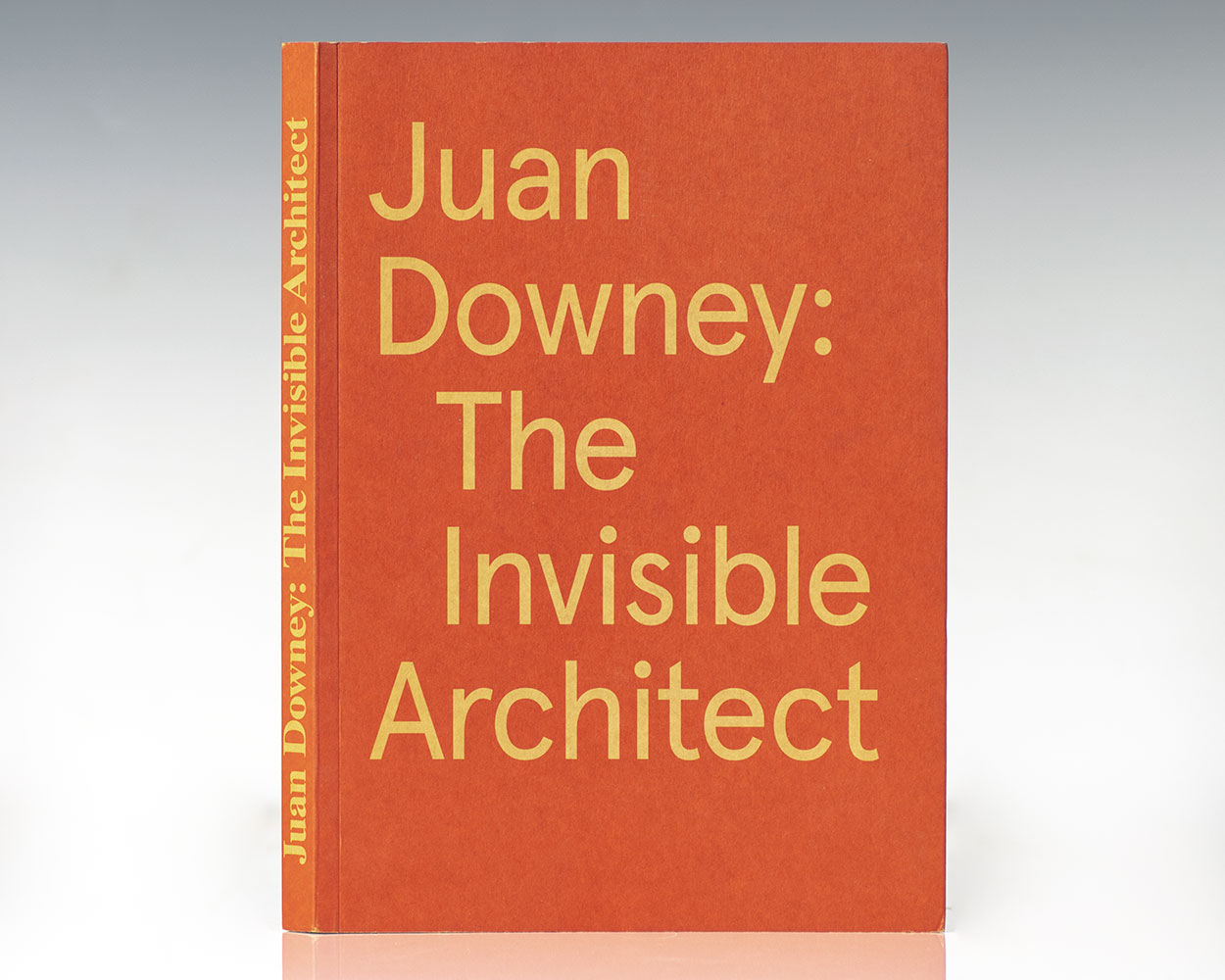Juan Downey: The Invisible Architect.