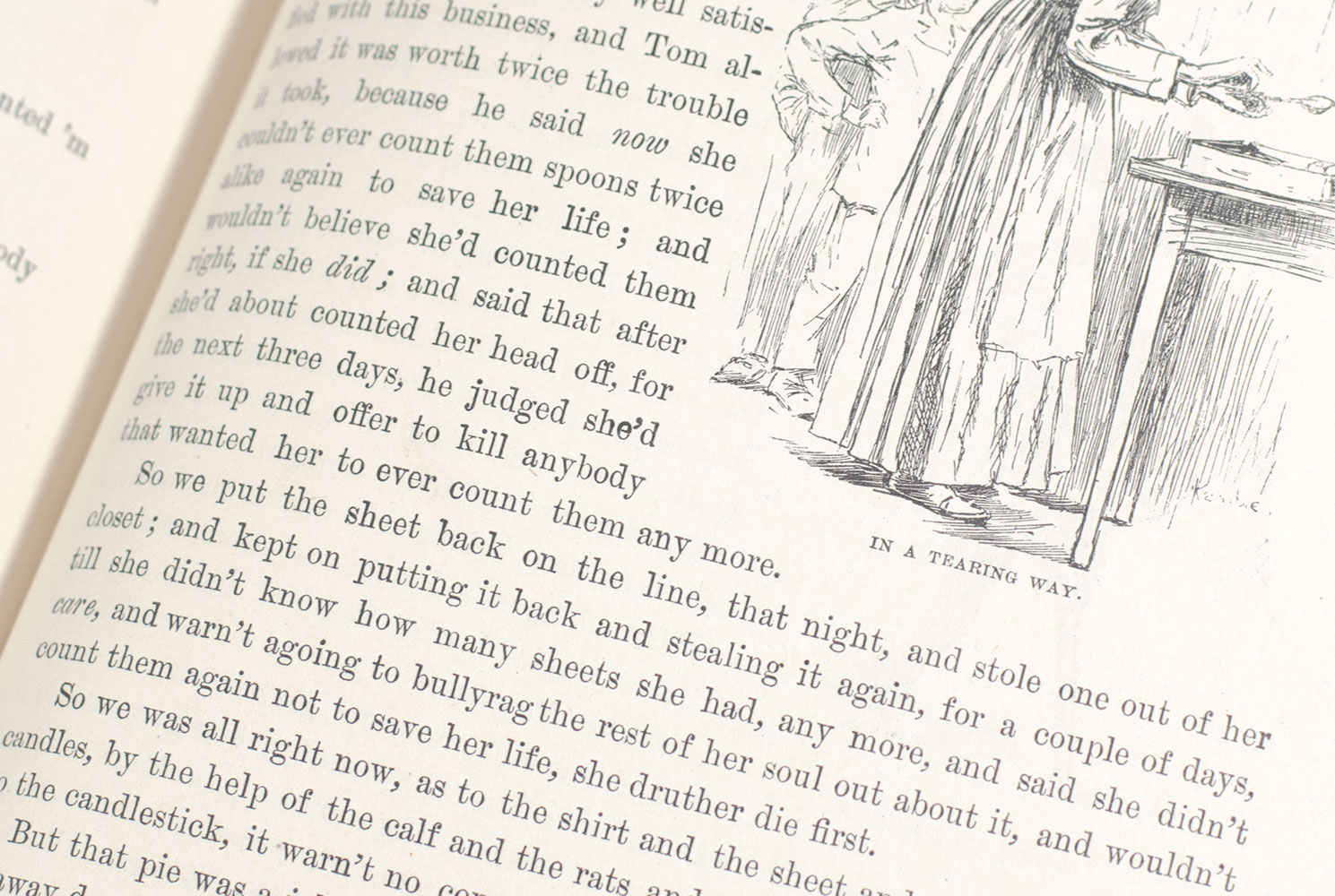 Adventures of Huckleberry Finn (Tom Sawyer's Comrade).