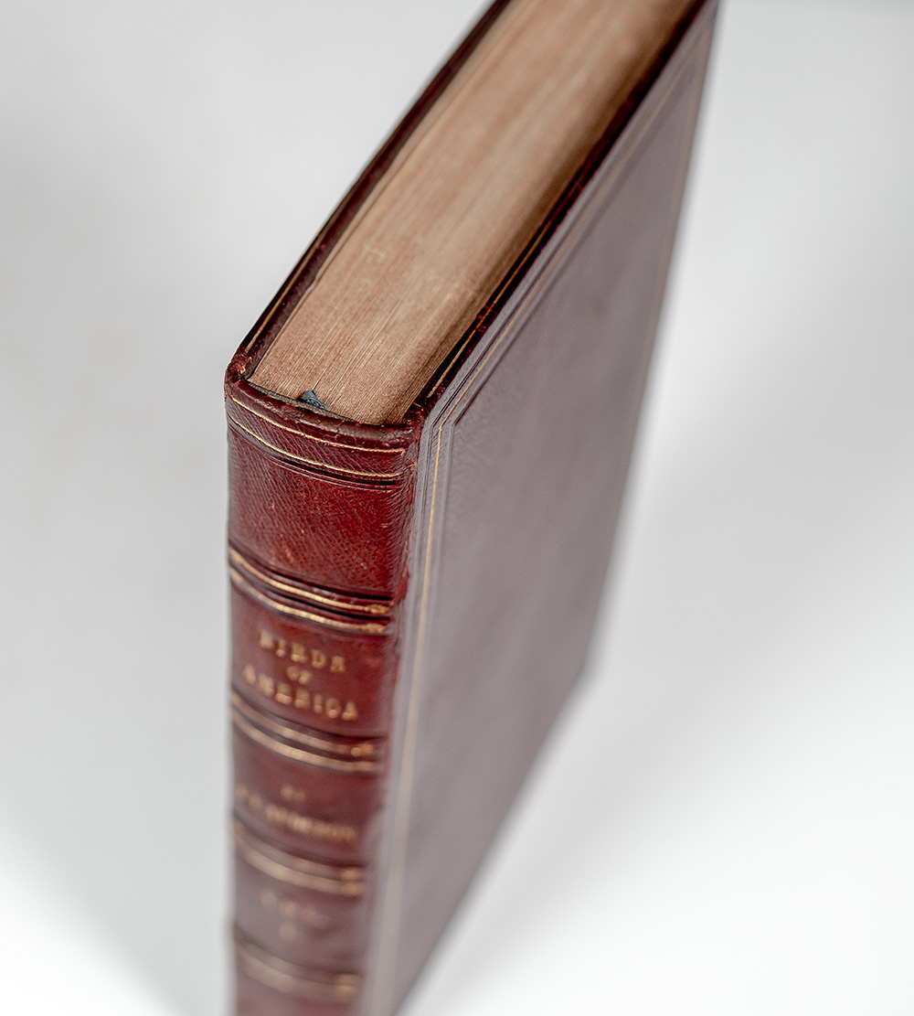 The Birds of America, From Drawings Made In The United States And Their Territories.