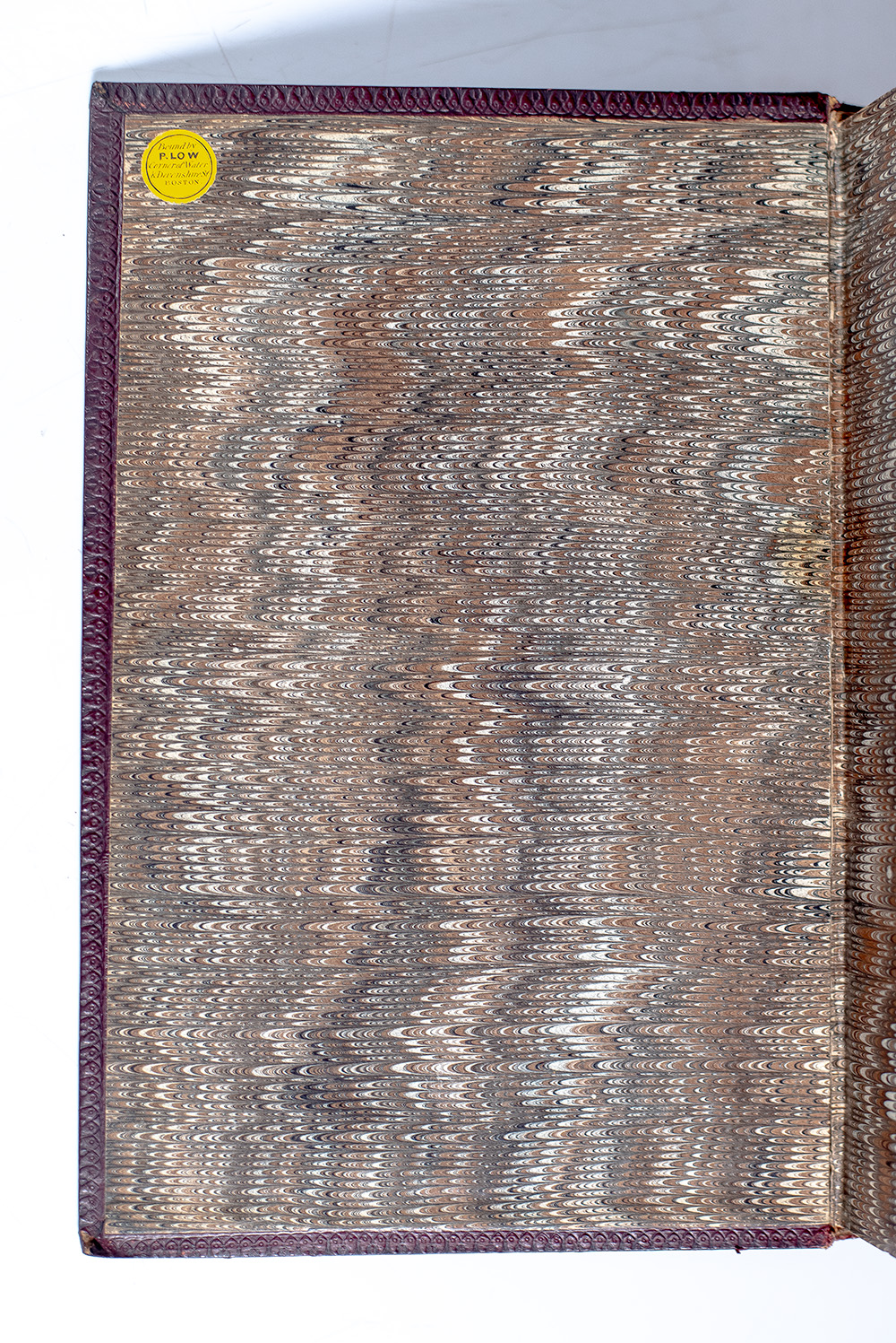 The Birds of America, From Drawings Made In The United States And Their Territories.