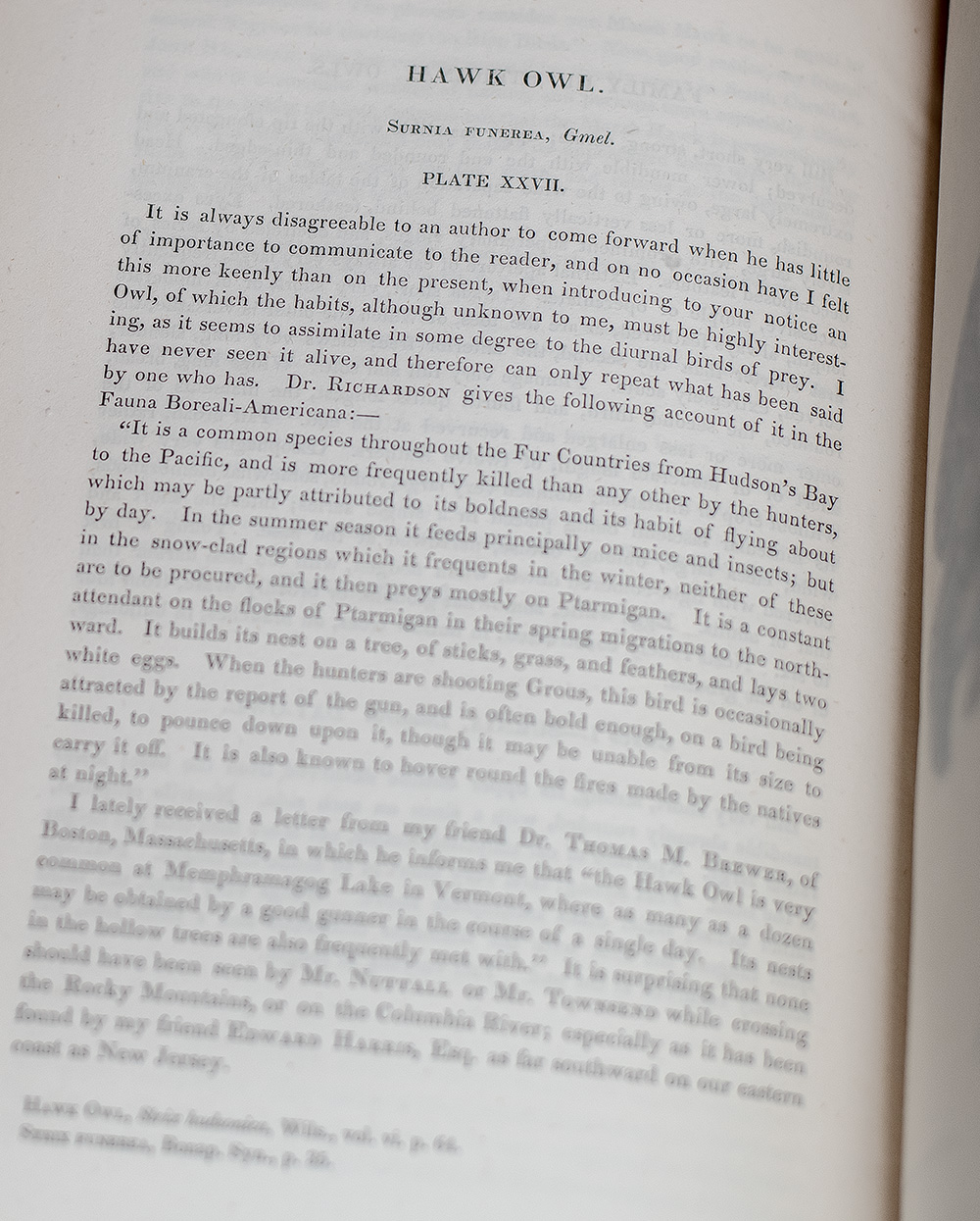 The Birds of America, From Drawings Made In The United States And Their Territories.