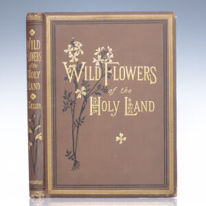 Wild Flowers of The Holy Land.