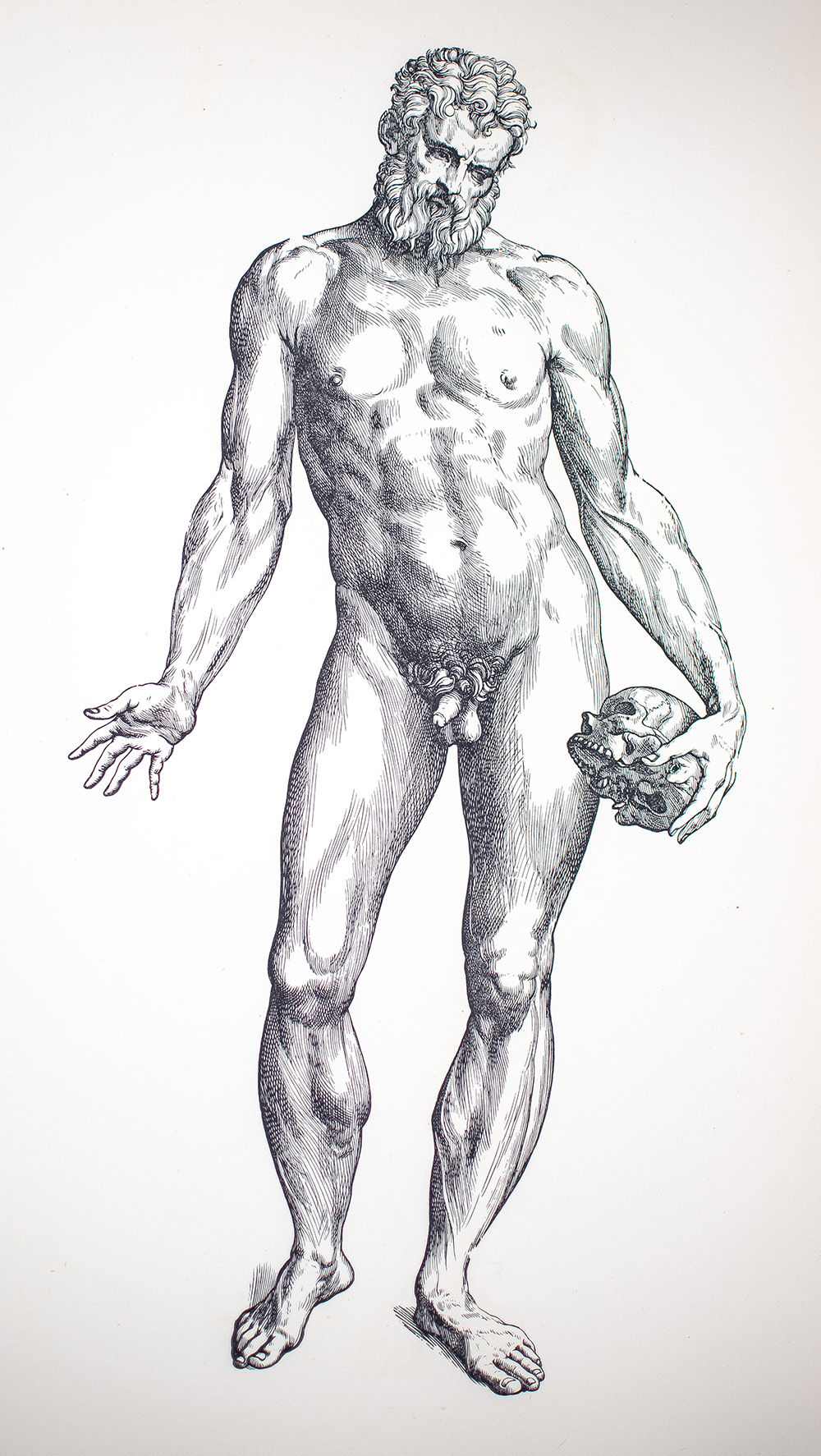 Andreae Vesalii Bruxellensis Icones Anatomicae.