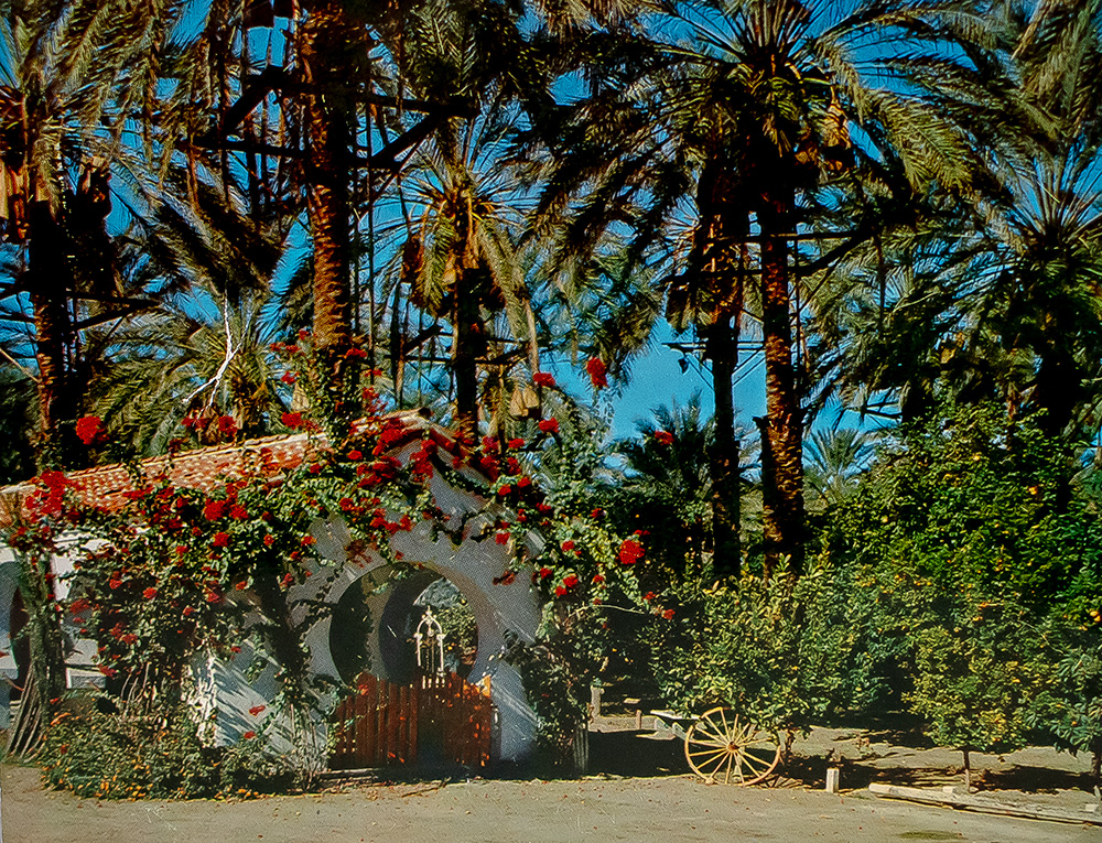 Raymond Chandler Autograph Postcards Signed.