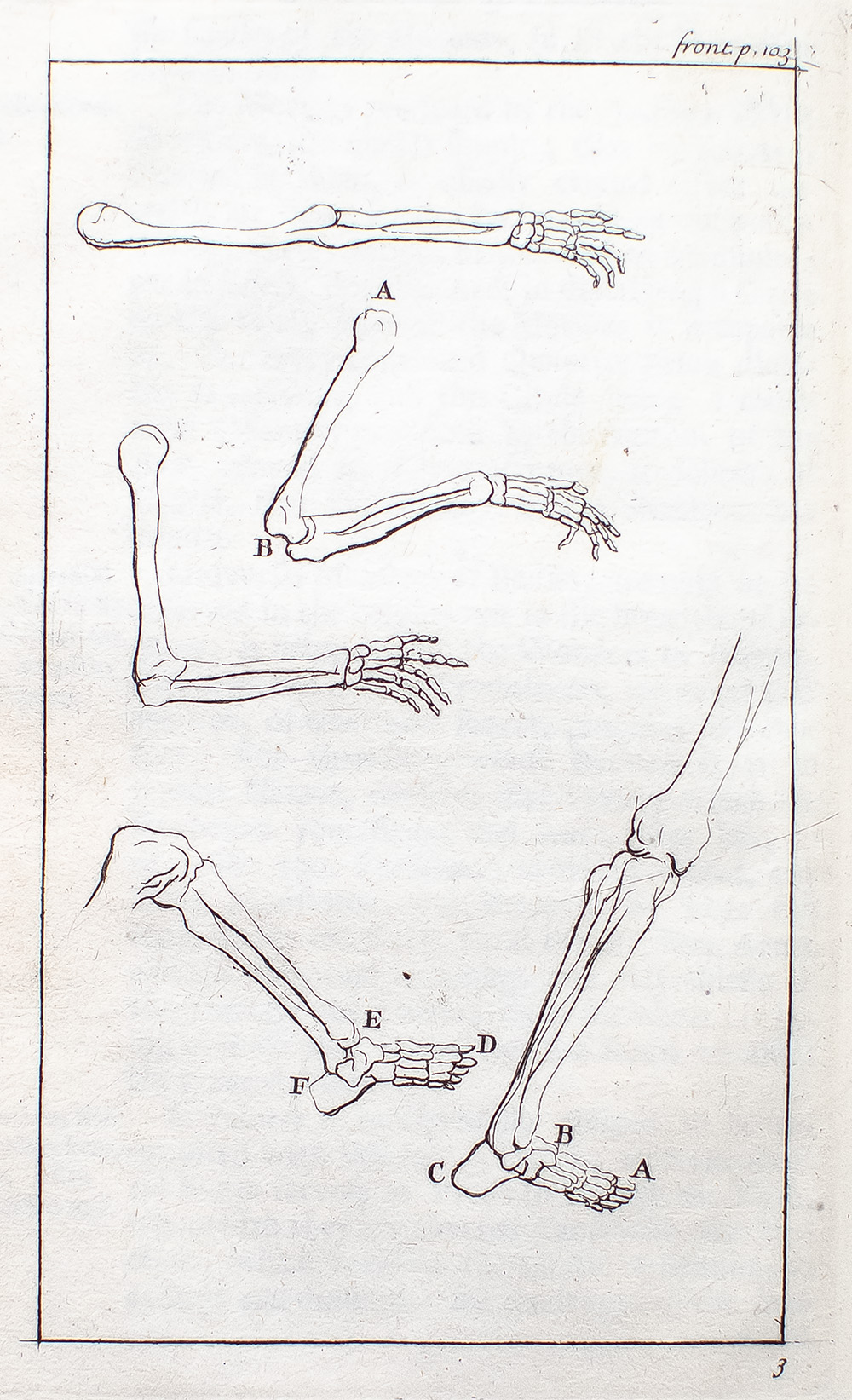 A Treatise of Painting by Leonardo da Vinci. Translated from The Original Italian, And adorn'd with a great Number of Cuts: To which is prefix'd The Author's Life; Done from the Last Edition of the French.