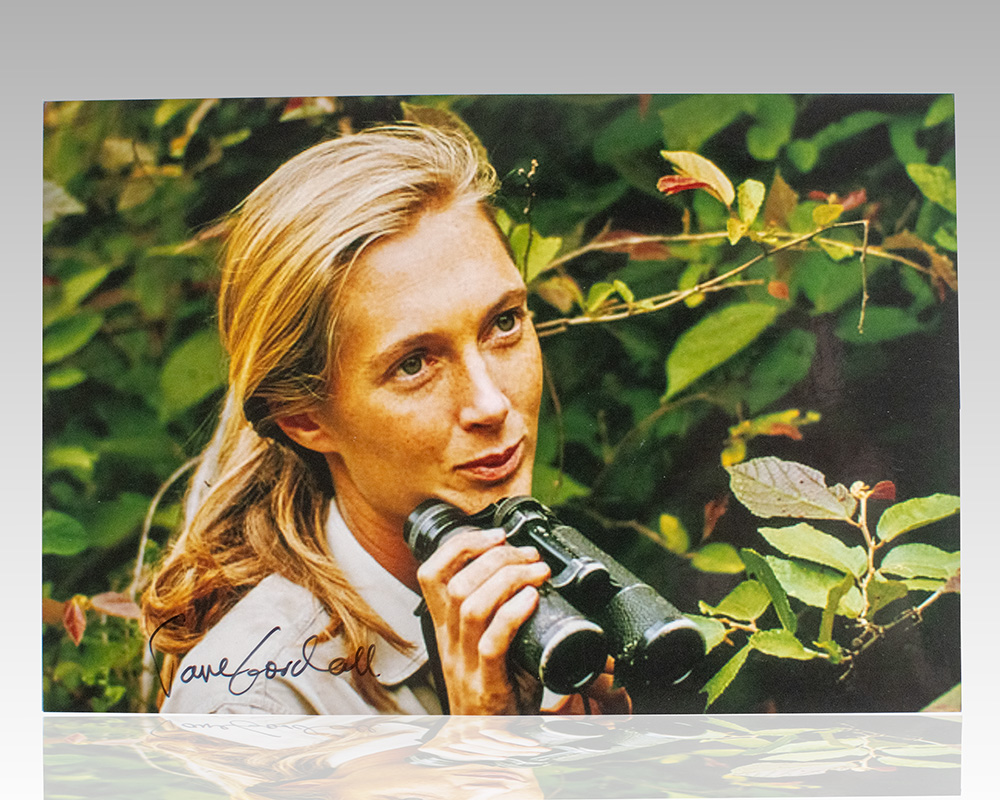 Jane Goodall Signed Photograph.
