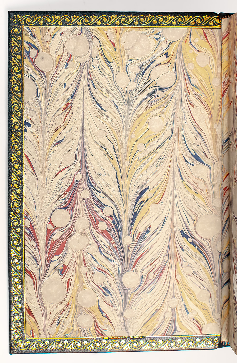 Lady and the Tramp: The Story of Two Dogs.