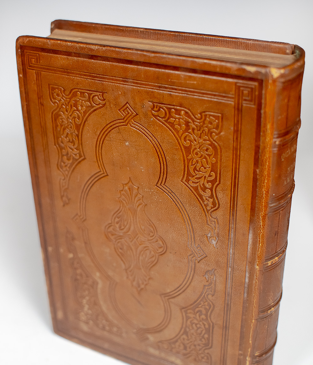 The Quadrupeds of North America.