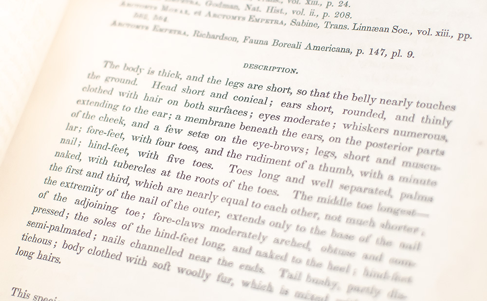 The Quadrupeds of North America.