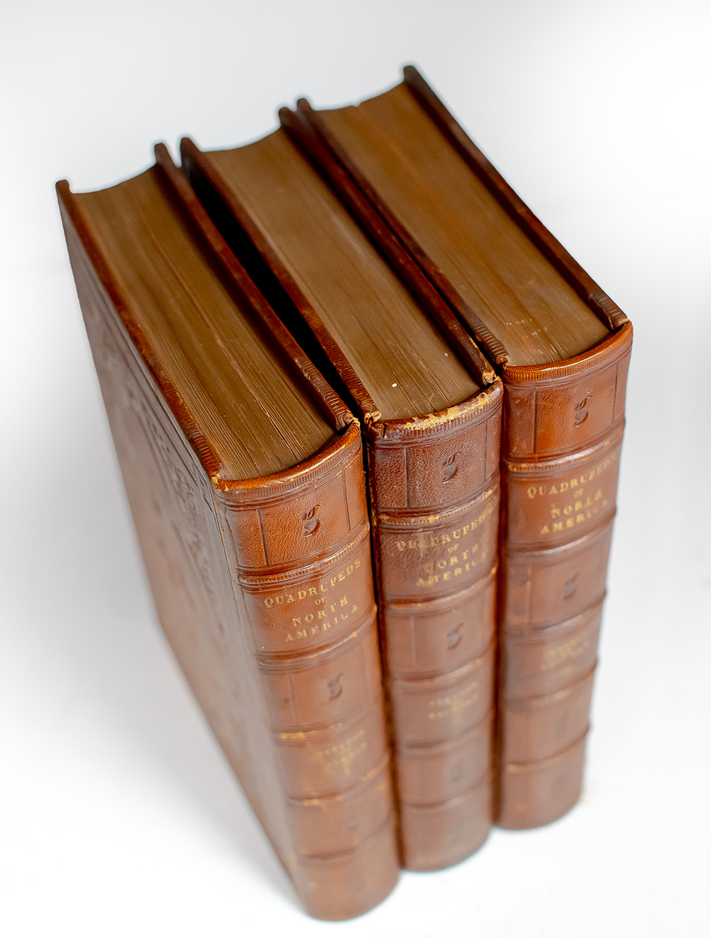The Quadrupeds of North America.