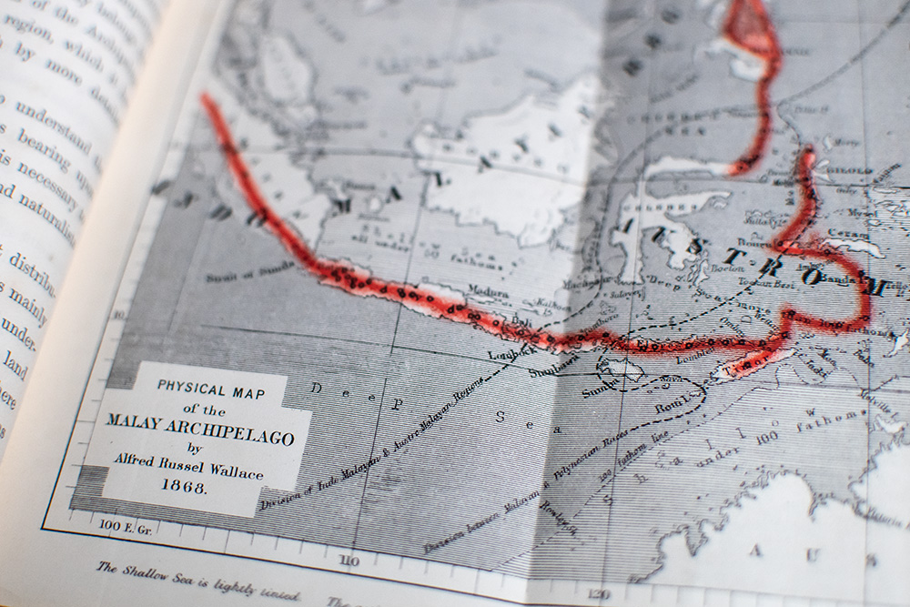 The Malay Archipelago: The Land of the Orang-utan, and the Bird of Paradise. A Narrative of Travel, with Studies of Man and Nature.