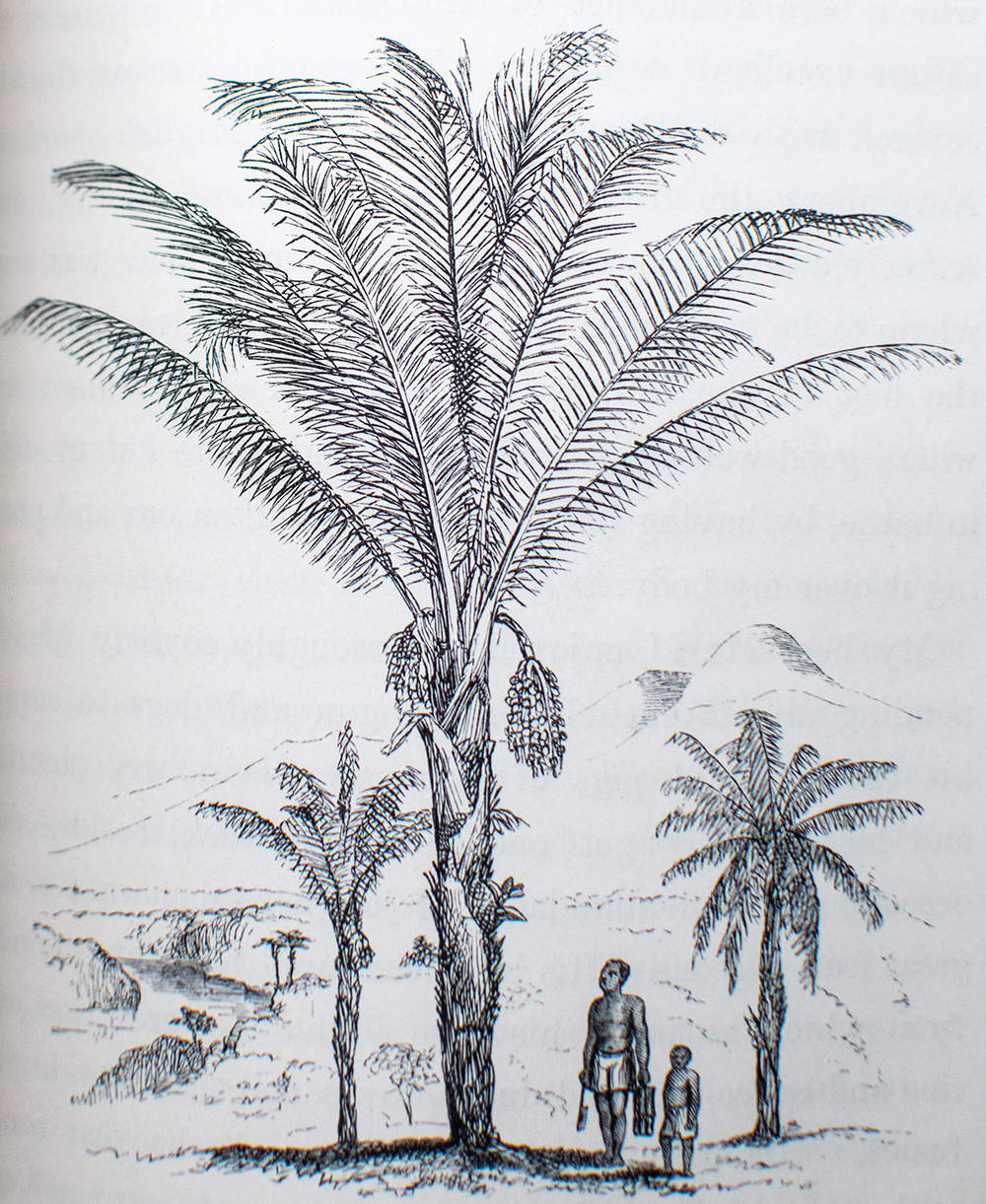The Malay Archipelago: The Land of the Orang-utan, and the Bird of Paradise. A Narrative of Travel, with Studies of Man and Nature.