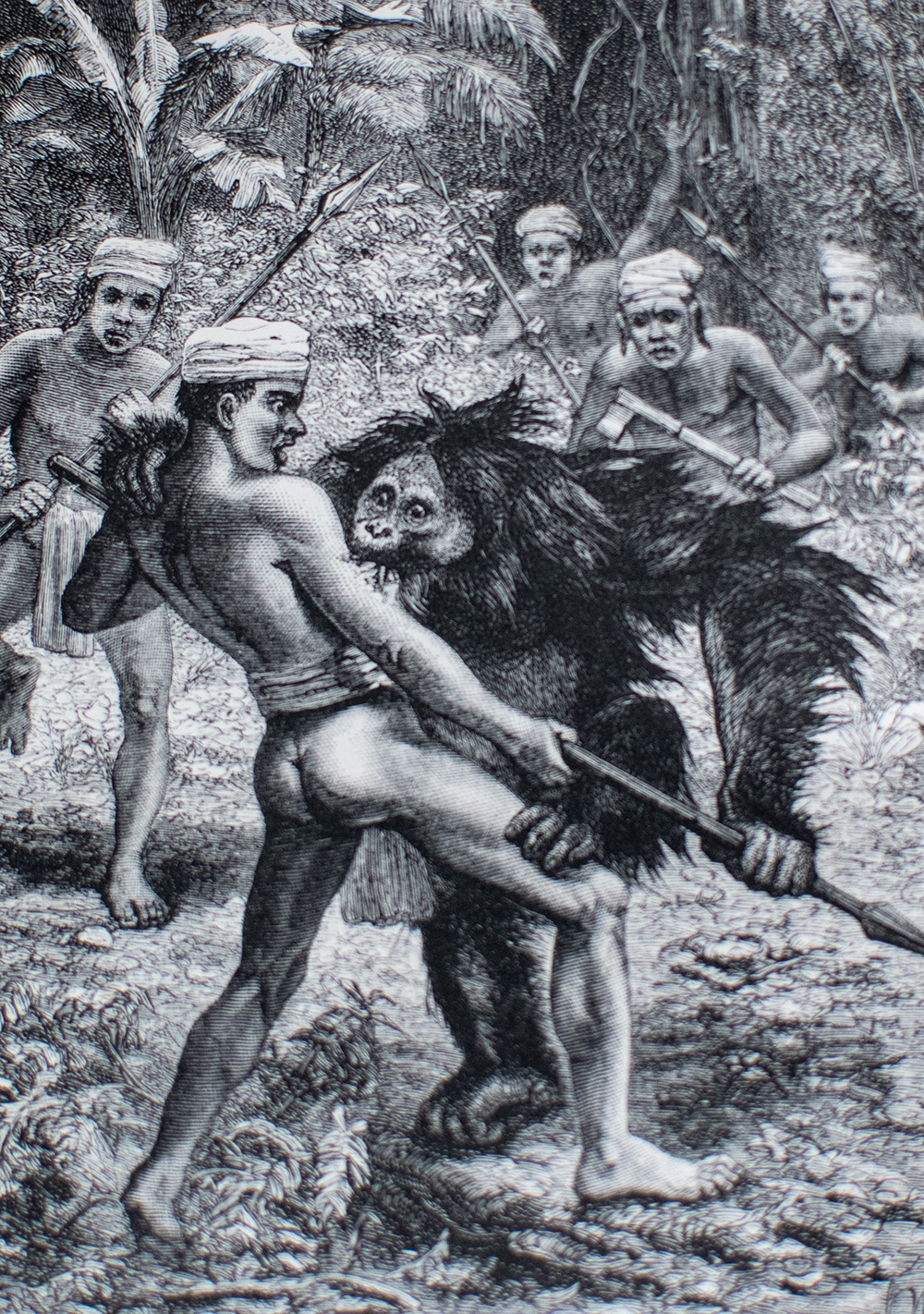 The Malay Archipelago: The Land of the Orang-utan, and the Bird of Paradise. A Narrative of Travel, with Studies of Man and Nature.