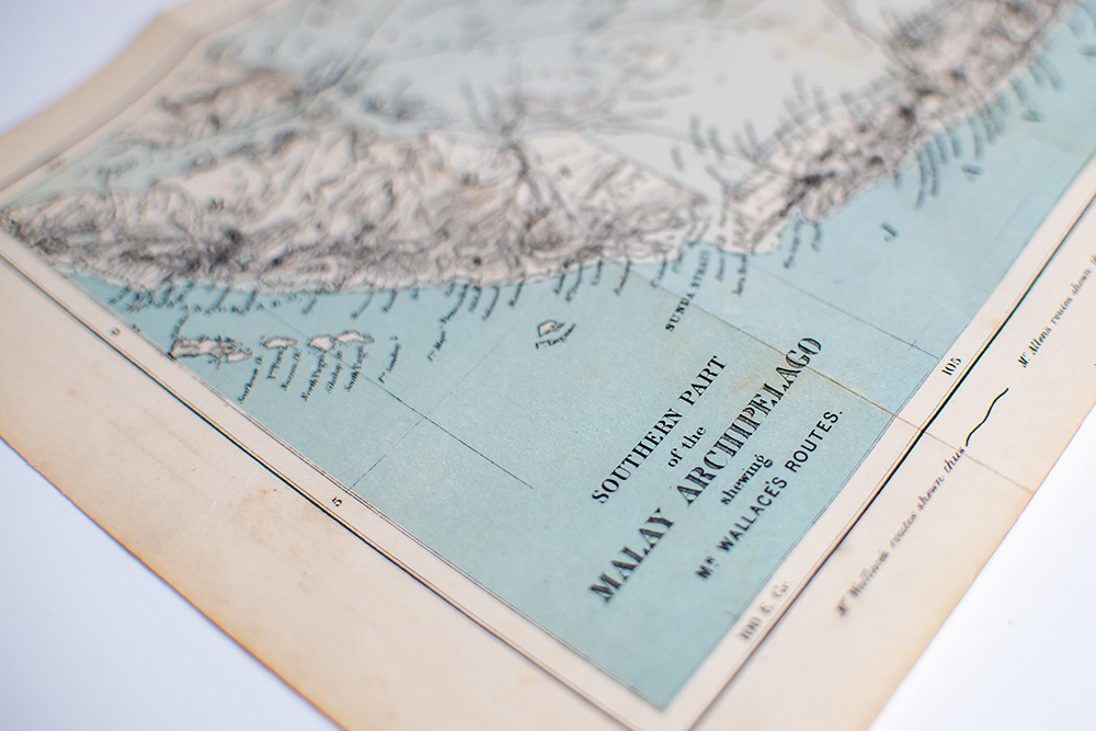 The Malay Archipelago: The Land of the Orang-utan, and the Bird of Paradise. A Narrative of Travel, with Studies of Man and Nature.