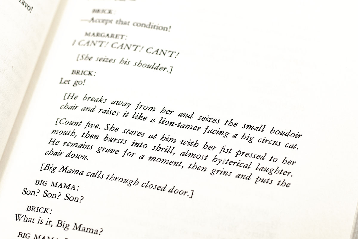 Cat On A Hot Tin Roof