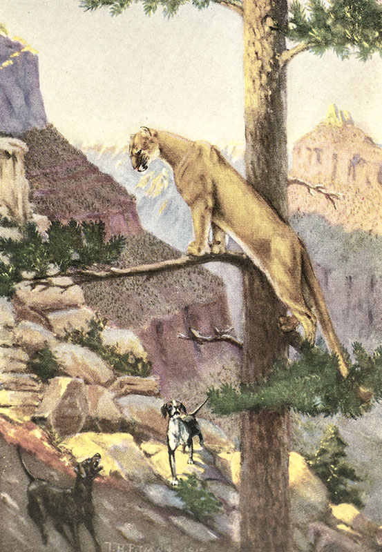 A Book-Lover's Holiday In The Open