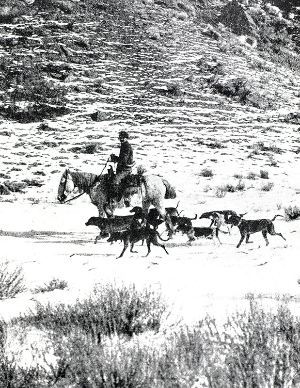 Outdoor Pastimes of An American Hunter