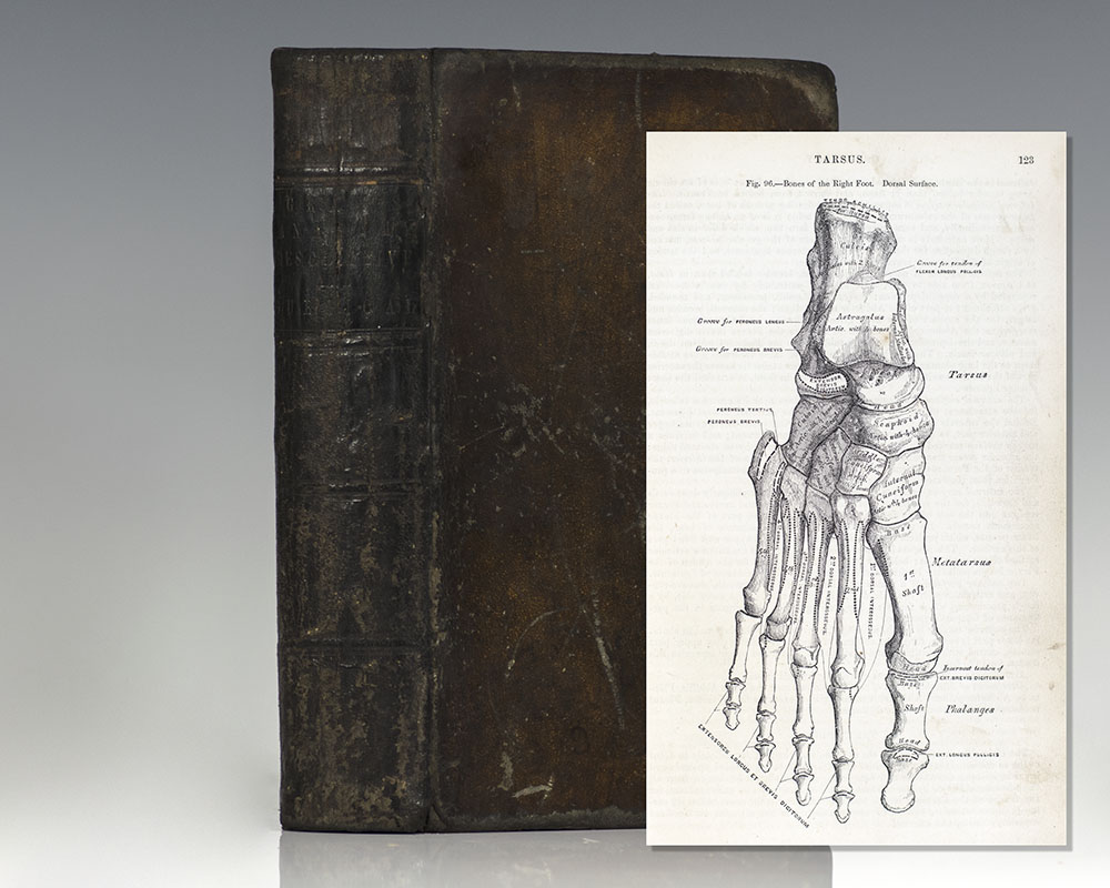 Anatomy, Descriptive and Surgical [Gray’s Anatomy].