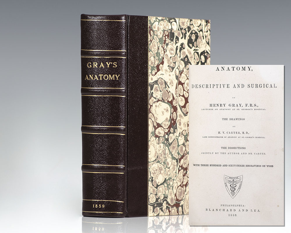 Anatomy, Descriptive and Surgical [Gray’s Anatomy].