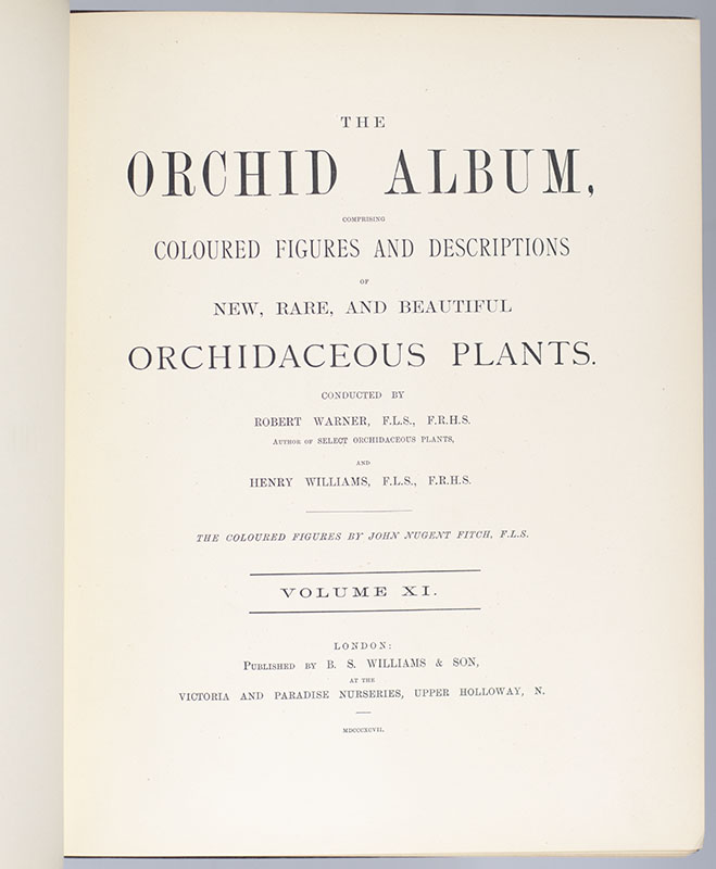 The Orchid Album, Comprising Coloured Figures and Descriptions of New, Rare, and Beautiful Orchidaceous Plants. Vol XI