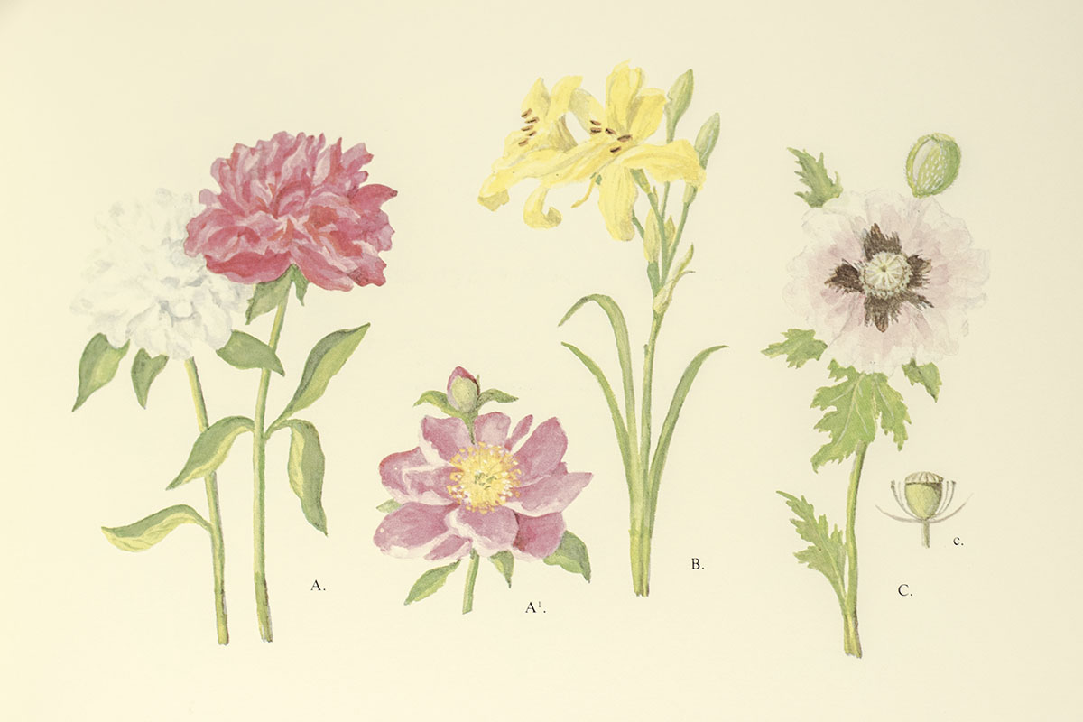 The White House Gardens: A History and Pictorial Record.