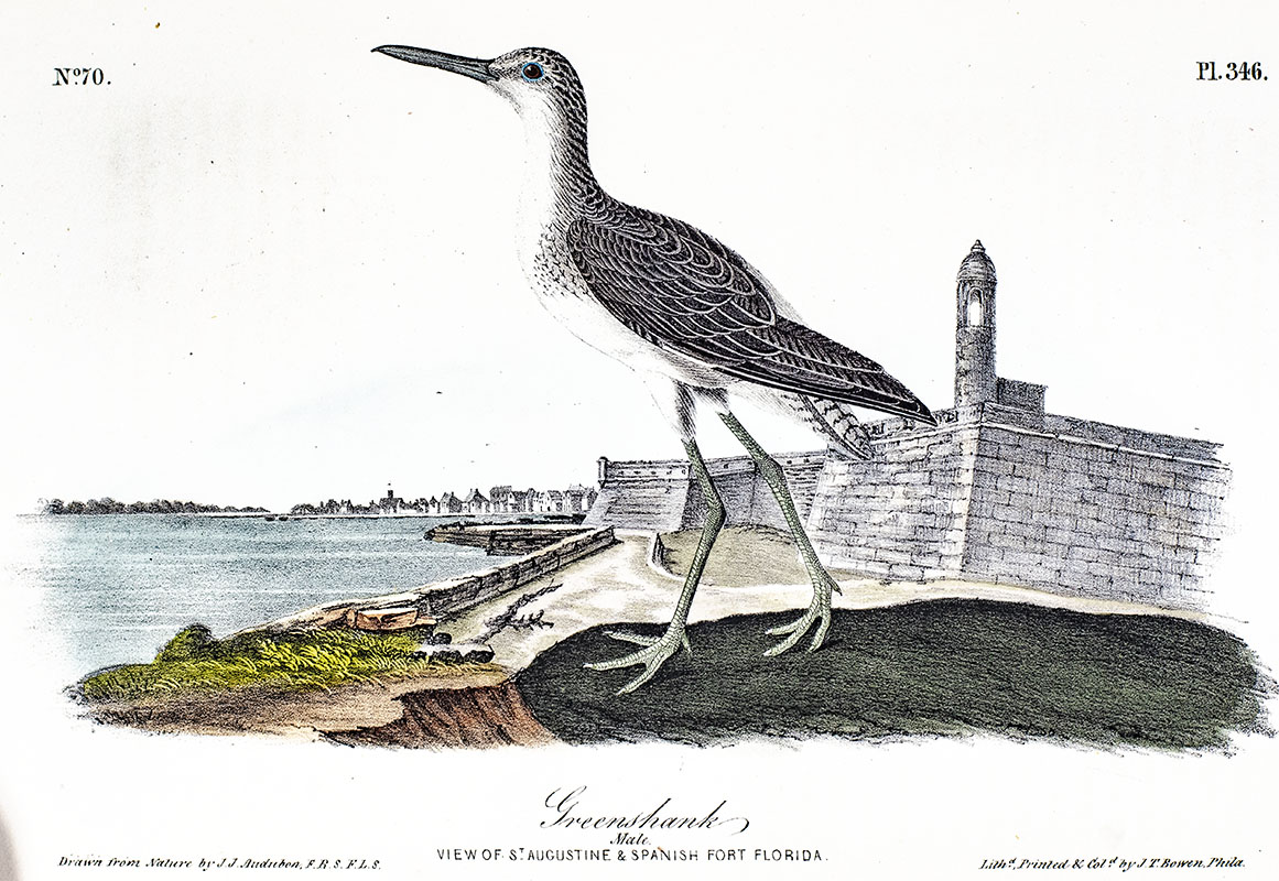 The Birds of America from Drawings Made in the United States and Their Territories.