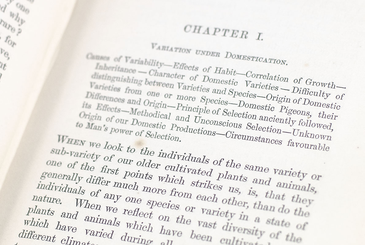 On the Origin of Species by Means of Natural Selection, or the Preservation of Favoured Races in the Struggle for Life.