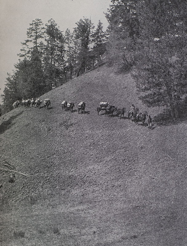 Outdoor Pastimes of An American Hunter.