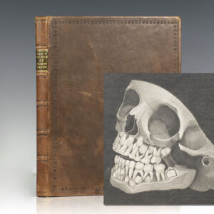 The Natural History of the Human Teeth. Including a Particular Elucidation of the Changes Which Take Place During the Second Dentition, and Describing the Proper Mode of Treatment to Prevent Irregularities of the Teeth. To Which is Added, an Account of the Diseases Which Affect Children During the First Dentition.