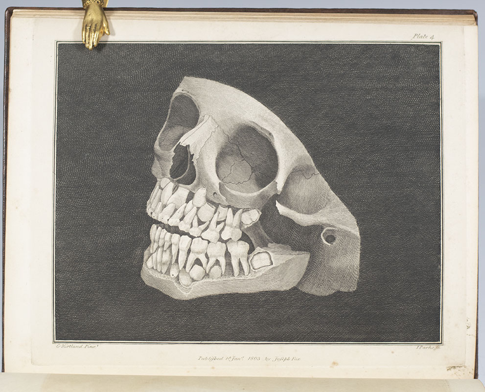 The Natural History of the Human Teeth. Including a Particular Elucidation of the Changes Which Take Place During the Second Dentition, and Describing the Proper Mode of Treatment to Prevent Irregularities of the Teeth. To Which is Added, an Account of the Diseases Which Affect Children During the First Dentition.