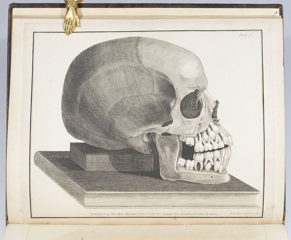 The Natural History of the Human Teeth. Including a Particular Elucidation of the Changes Which Take Place During the Second Dentition, and Describing the Proper Mode of Treatment to Prevent Irregularities of the Teeth. To Which is Added, an Account of the Diseases Which Affect Children During the First Dentition.