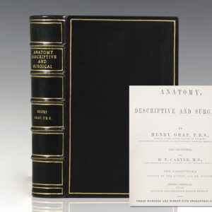 Anatomy, Descriptive and Surgical [Gray's Anatomy].