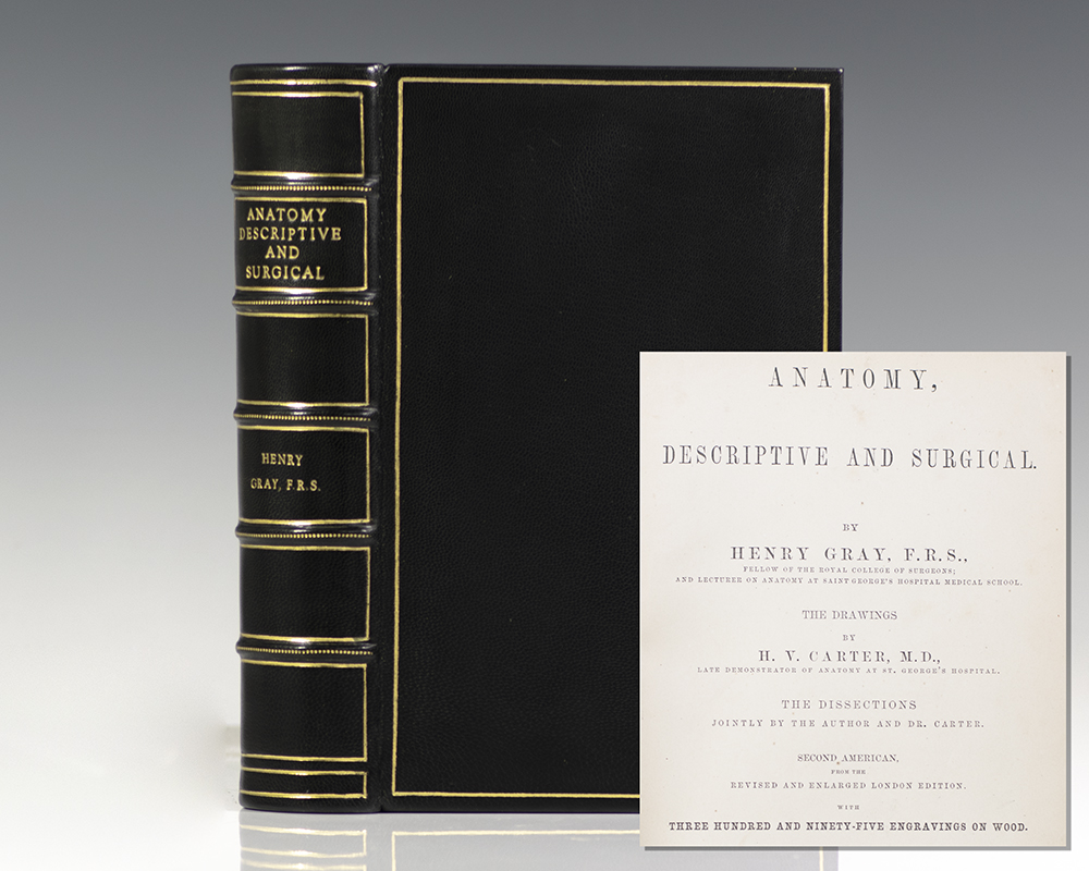 Anatomy, Descriptive and Surgical [Gray’s Anatomy].