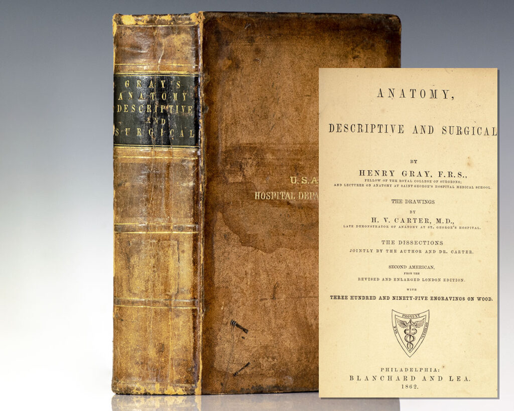 Anatomy, Descriptive and Surgical [Gray’s Anatomy].