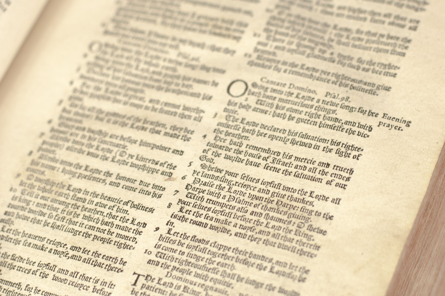 The Bible, that is, The holy Scriptures conteined in the Olde and Newe Testament, Translated according to the Ebrew and Greeke, and Conferred with the Best Translations in Diuers Languages.