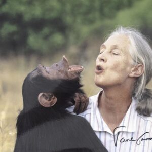 Jane Goodall Signed Photograph.