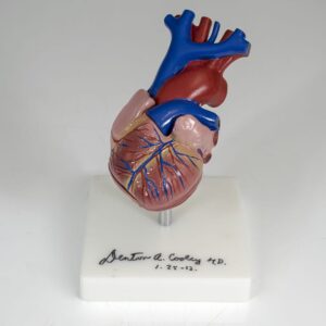 Denton Cooley Signed Anatomical Heart Model.