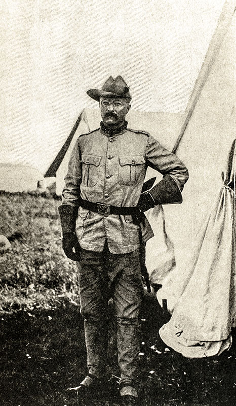 The Works of Theodore Roosevelt Executive Edition Salesman's Dummy