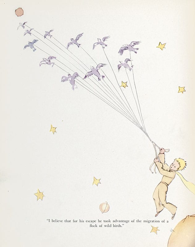 The Little Prince