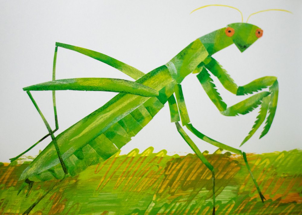 The Very Quiet Cricket.