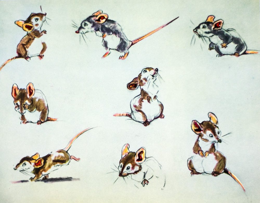 The Art of Walt Disney.