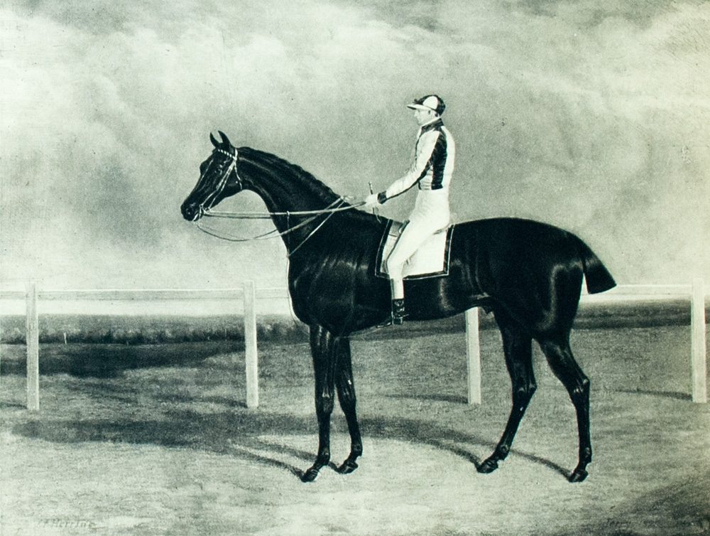Cherished Portraits of Thoroughbred Horses: From the Collection of William Woodward. With Notes by W.S. Vosburgh.