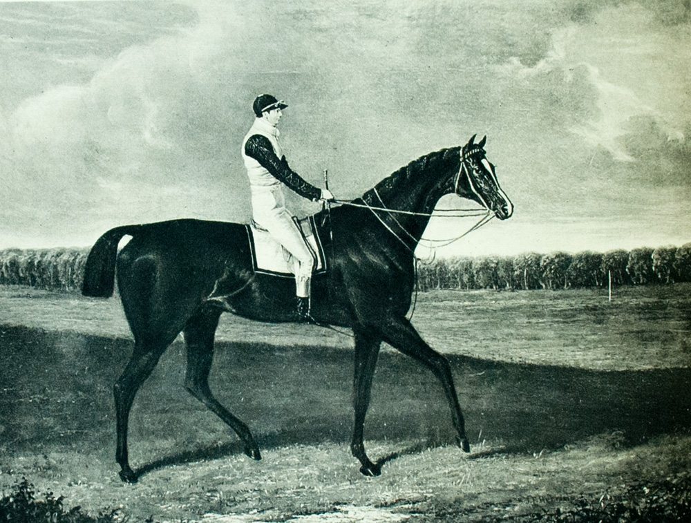 Cherished Portraits of Thoroughbred Horses: From the Collection of William Woodward. With Notes by W.S. Vosburgh.