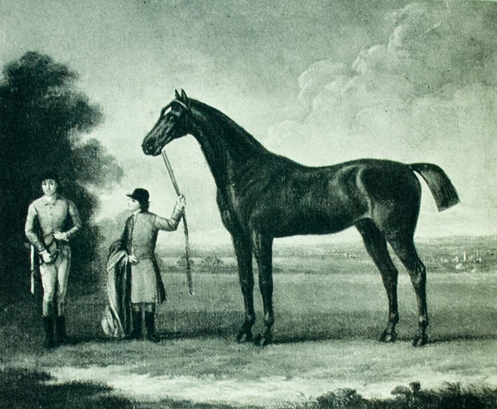 Cherished Portraits of Thoroughbred Horses: From the Collection of William Woodward. With Notes by W.S. Vosburgh.