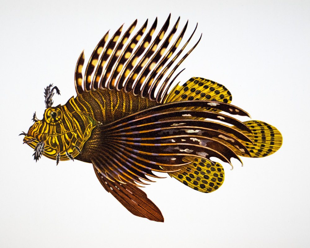 West Made East With The Loss Of A Day: A Chronicle of the First Circumnavigation of the Globe under the United States Naval Reserve Yacht Pennant.