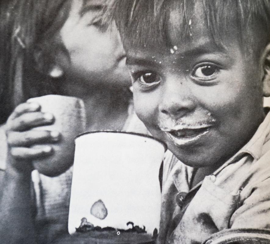 Growing Toward Peace.